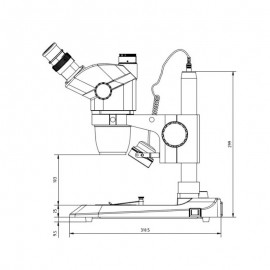 Estereoscopio Trinocular marca EUROMEX - NZ-1903P